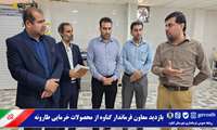 بازدید معاون فرماندار گناوه از محصولات خرمایی طارونه