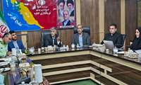 کمپ نگه‌داری سگ‌های بلاصاحب در گناوه ضرورت دارد 