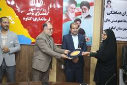 خدمات ادارات گناوه اطلاع‌رسانی شود .