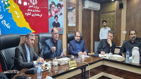 کارگروه اشتغال با مدیرکل تعاون